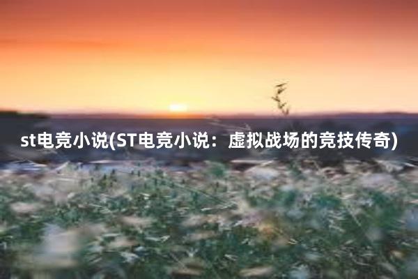 st电竞小说(ST电竞小说：虚拟战场的竞技传奇)