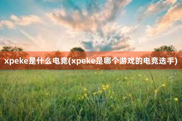 xpeke是什么电竞(xpeke是哪个游戏的电竞选手)