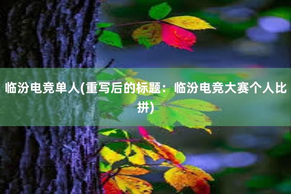 临汾电竞单人(重写后的标题：临汾电竞大赛个人比拼)