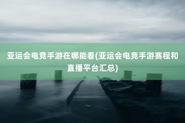 亚运会电竞手游在哪能看(亚运会电竞手游赛程和直播平台汇总)