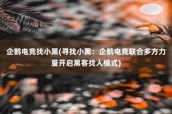 企鹅电竞找小黑(寻找小黑：企鹅电竞联合多方力量开启黑客找人模式)