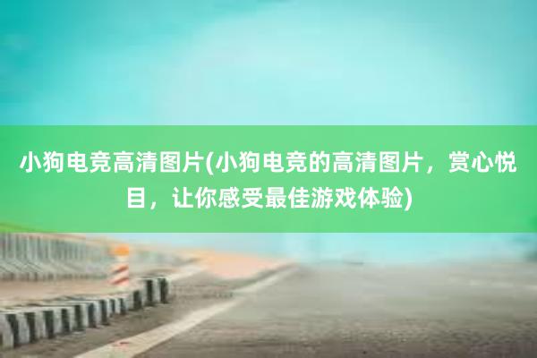 小狗电竞高清图片(小狗电竞的高清图片，赏心悦目，让你感受最佳游戏体验)