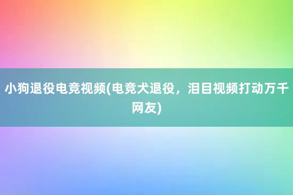 小狗退役电竞视频(电竞犬退役，泪目视频打动万千网友)