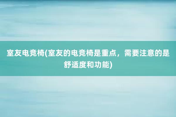 室友电竞椅(室友的电竞椅是重点，需要注意的是舒适度和功能)