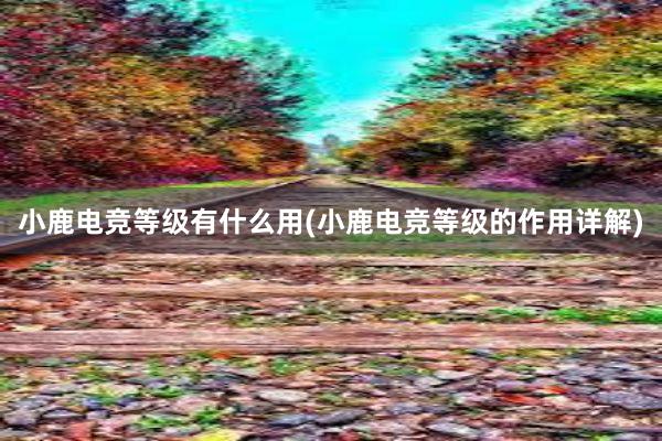 小鹿电竞等级有什么用(小鹿电竞等级的作用详解)