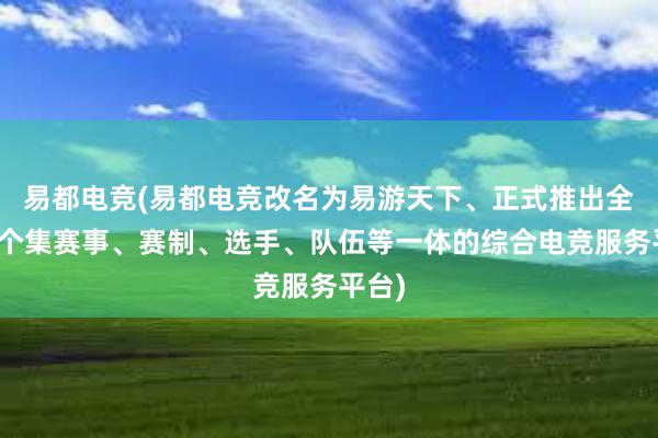 易都电竞(易都电竞改名为易游天下、正式推出全球首个集赛事、赛制、选手、队伍等一体的综合电竞服务平台)