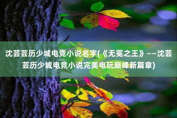 沈芸芸历少城电竞小说名字(《无冕之王》——沈芸芸历少城电竞小说完美电玩巅峰新篇章)