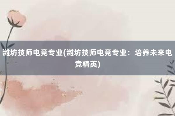 潍坊技师电竞专业(潍坊技师电竞专业：培养未来电竞精英)