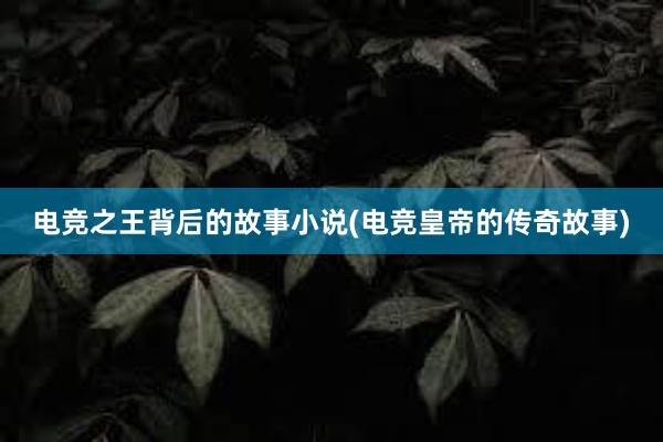 电竞之王背后的故事小说(电竞皇帝的传奇故事)