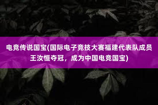 电竞传说国宝(国际电子竞技大赛福建代表队成员王汝恒夺冠，成为中国电竞国宝)