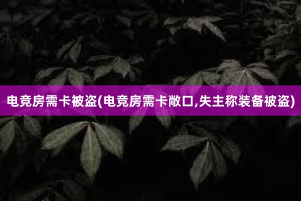 电竞房需卡被盗(电竞房需卡敞口，失主称装备被盗)