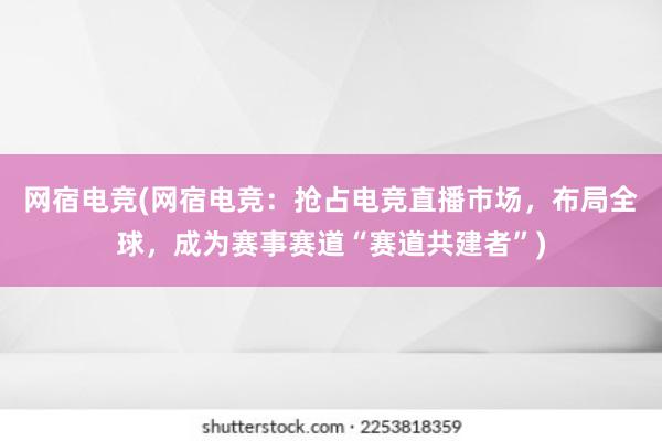 网宿电竞(网宿电竞：抢占电竞直播市场，布局全球，成为赛事赛道“赛道共建者”)