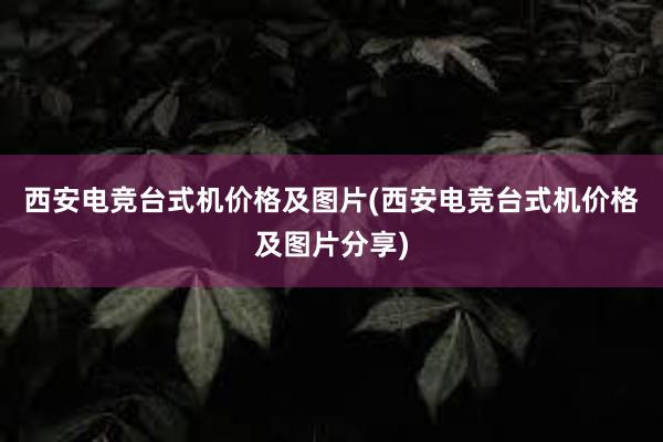 西安电竞台式机价格及图片(西安电竞台式机价格及图片分享)