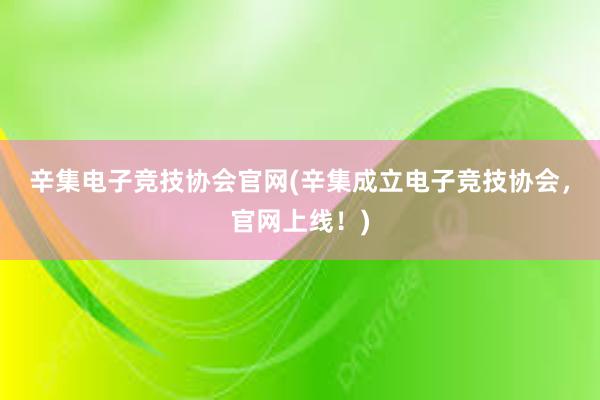 辛集电子竞技协会官网(辛集成立电子竞技协会，官网上线！)