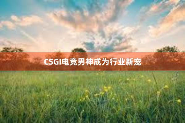 CSGI电竞男神成为行业新宠