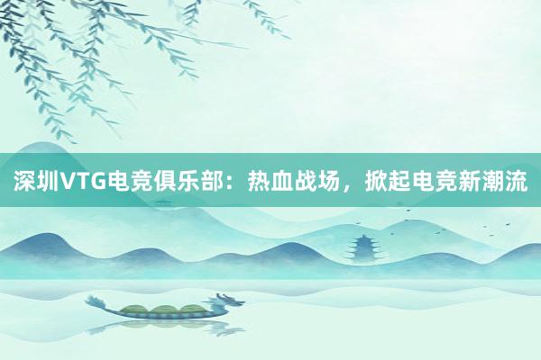 深圳VTG电竞俱乐部：热血战场，掀起电竞新潮流