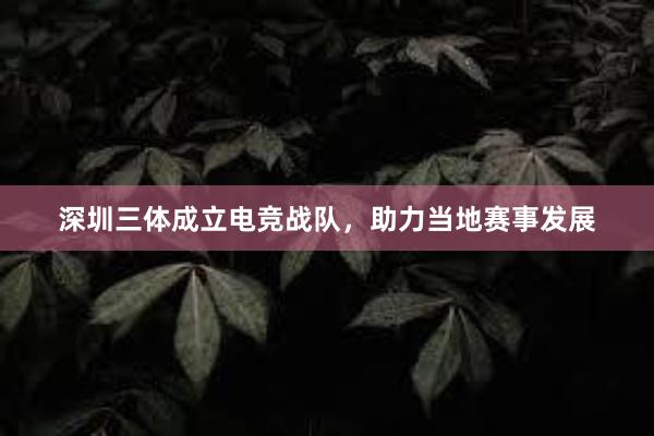 深圳三体成立电竞战队，助力当地赛事发展