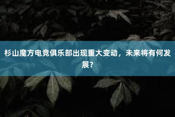 杉山魔方电竞俱乐部出现重大变动，未来将有何发展？