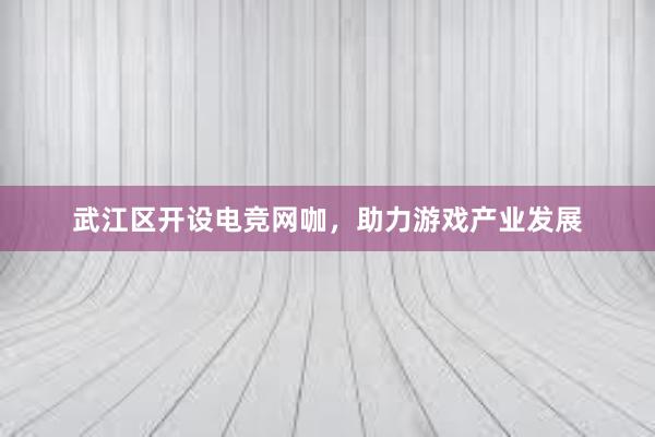 武江区开设电竞网咖，助力游戏产业发展