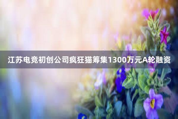 江苏电竞初创公司疯狂猫筹集1300万元A轮融资