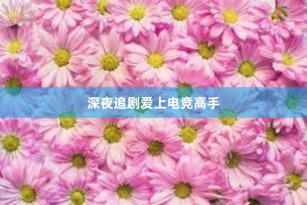 深夜追剧爱上电竞高手