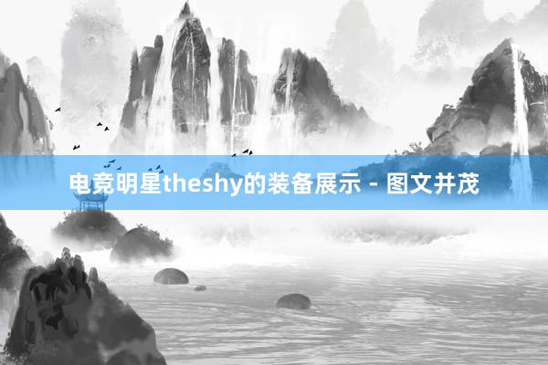 电竞明星theshy的装备展示 - 图文并茂