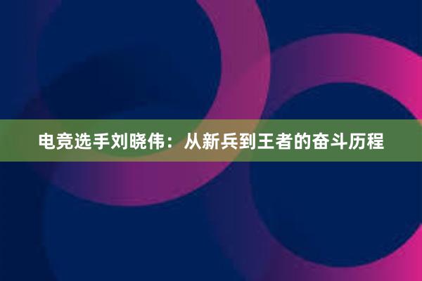 电竞选手刘晓伟：从新兵到王者的奋斗历程