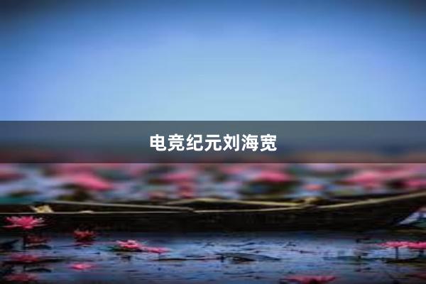 电竞纪元刘海宽