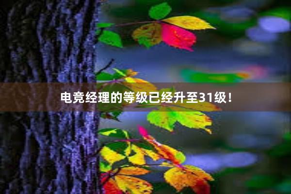 电竞经理的等级已经升至31级！