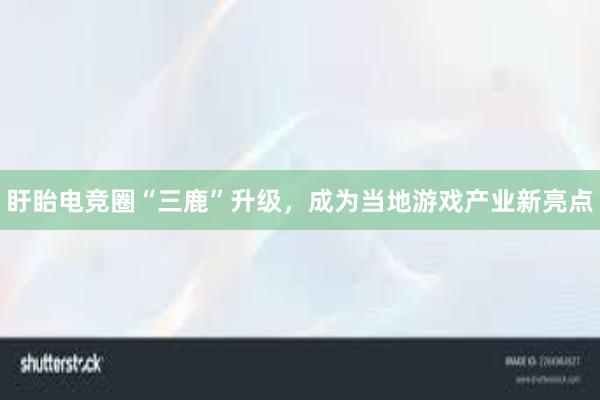 盱眙电竞圈“三鹿”升级，成为当地游戏产业新亮点