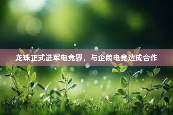 龙珠正式进军电竞界，与企鹅电竞达成合作