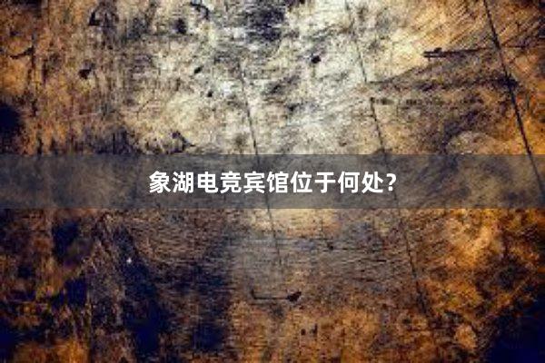 象湖电竞宾馆位于何处？