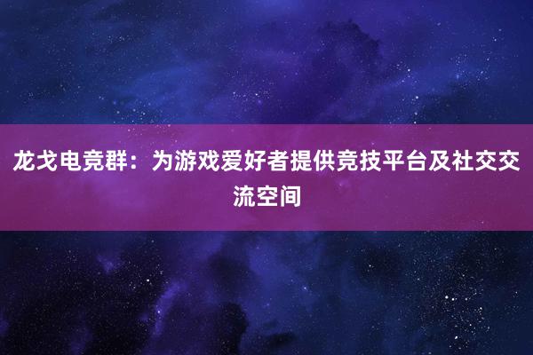 龙戈电竞群：为游戏爱好者提供竞技平台及社交交流空间